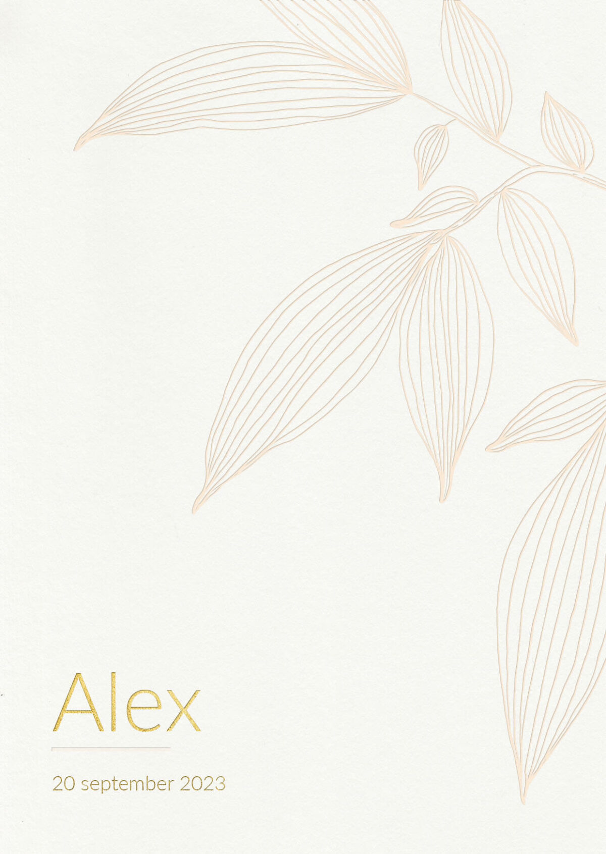 voorzijde geboortekaartje exotic leaf met fijne illustratie van een tak met bladeren in letterpress en naam in goudfolie