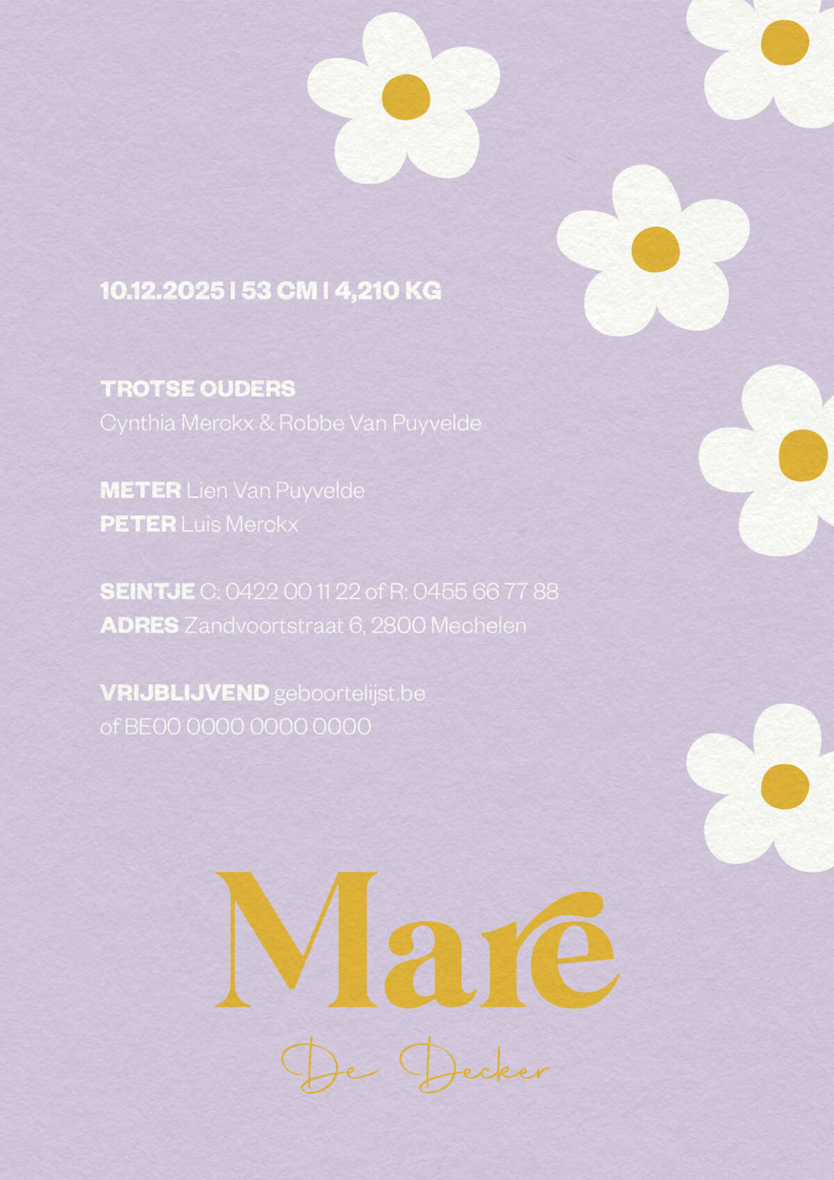 achterzijde geboortekaartje daisy love met kleurrijke bloemen en naam