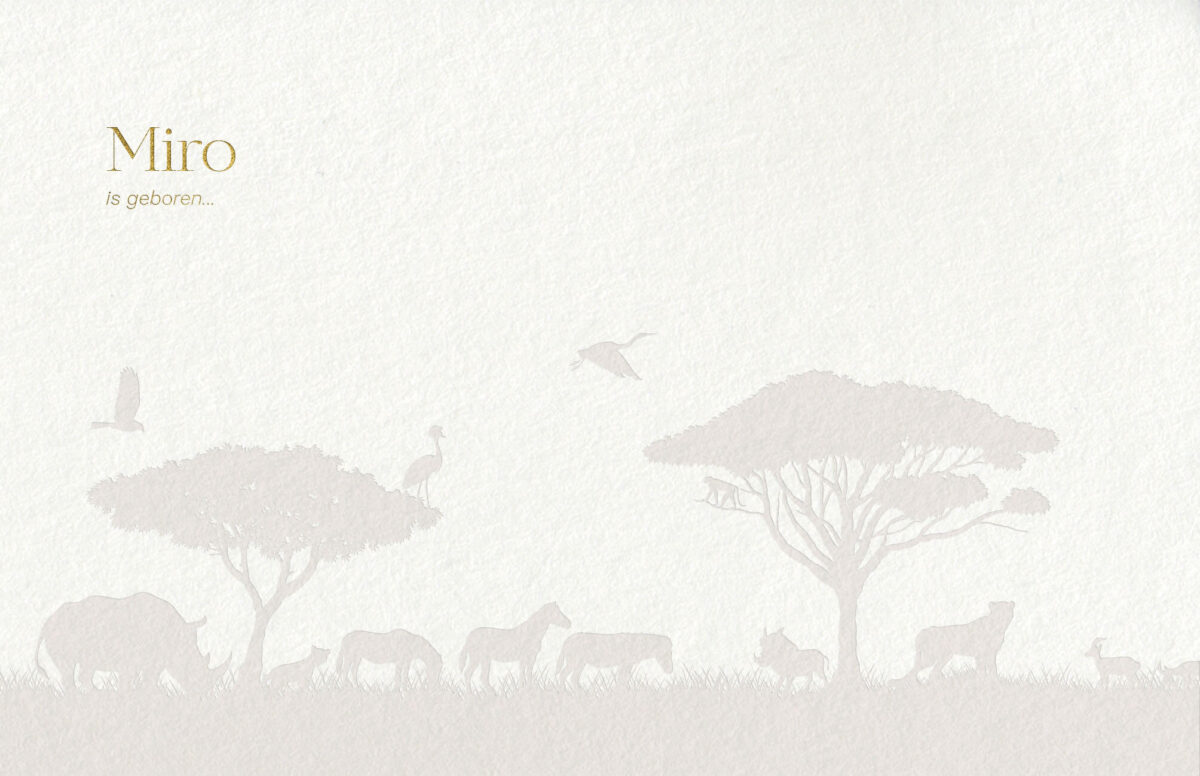 voorzijde geboortekaartje savannah safari met exotisch uitzicht in blinddruk en de naam in goudfolie