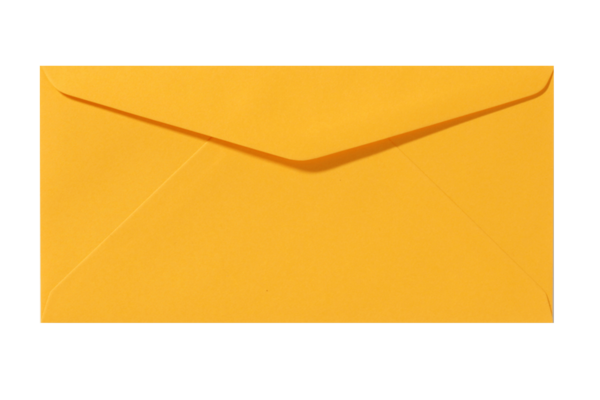 Envelop Oranje Puntklep 22 x 11 cm