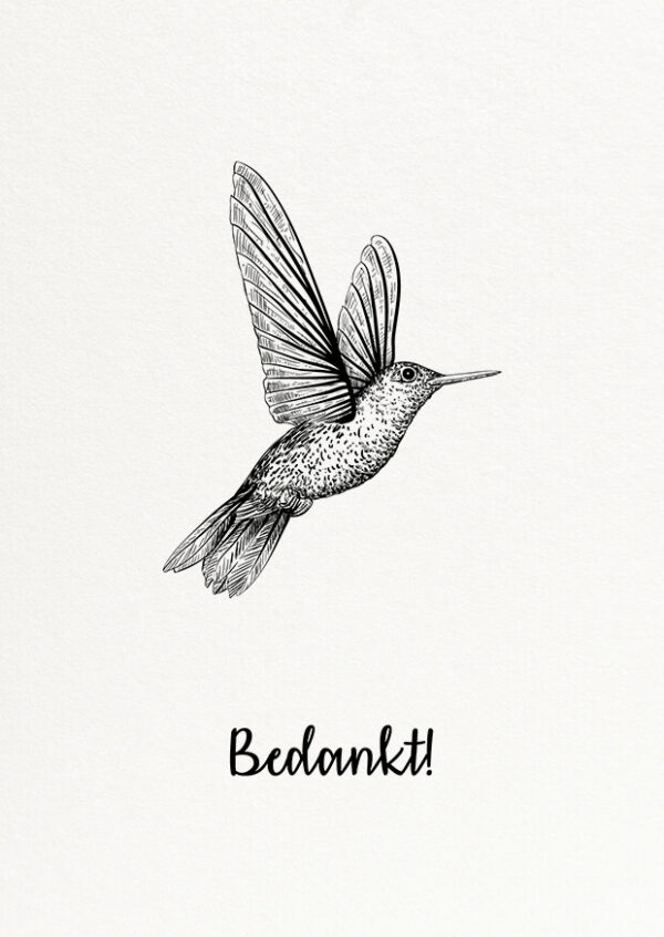 Bedankkaartje Kolibrie Ets Geboorte Foto