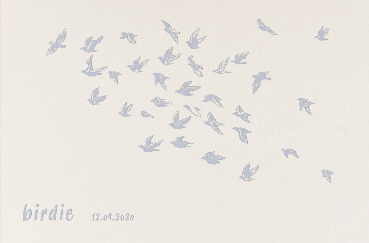 Geboortekaartje Luxe Zwerm vogels letterpress babyblauw